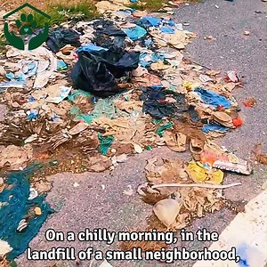 27 reactions | A puppy was abandoned because its owner disliked its unattractive fur color, and the puppy lay motionless in the landfill, awaiting its fate | Animals Rescue | Facebook