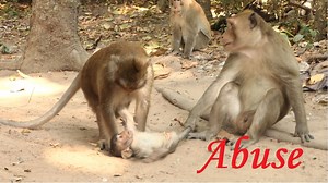 14K views · 380 reactions | She Might Be Hurt Cry and Scared Until Upset With Depression From Bad Kidnapped Like This Everyday. | Lovely Monkey | Facebook