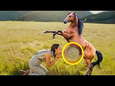 Incredible! Watch what happened when the horse approached the woman!
