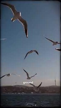 Gujrat Ramsar Site | Ramsar Site Series | UPSC | ForumIAS