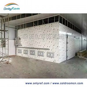 [Hot Item] Walk-in Unit Storage Refrigeration Deep Freezer Cold Room Cold Rooms Cool Store Room Cold Storage Room Price