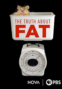 The Truth About Fat streaming: where to watch online?