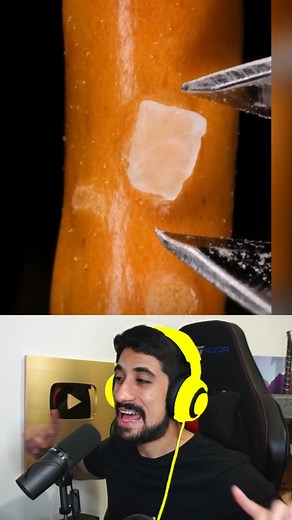 Salamae 😳 #microscopio #curiosidades #reels #curioso | Javier Cazarez