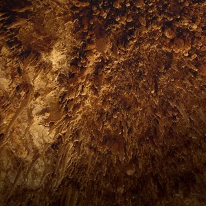 2.4K reactions · 532 shares | Go further than food in Margaret River with tall-tree forests, pristine beaches and caves. | Western Australia | Facebook