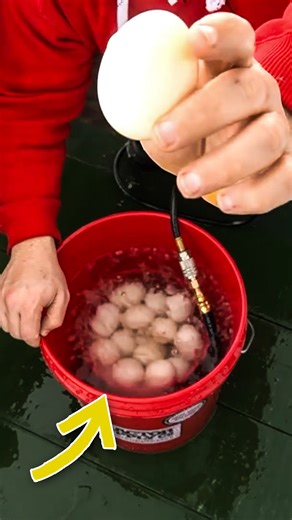 31K views · 389 reactions | My Cheap Egg Washer! | Gold Shaw Farm | Facebook