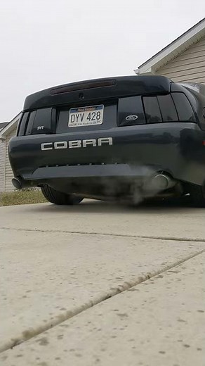 2001 svt Cobra cold start. Kooks long tube headers
