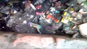 Drakenstein Municipality on Reels | Facebook