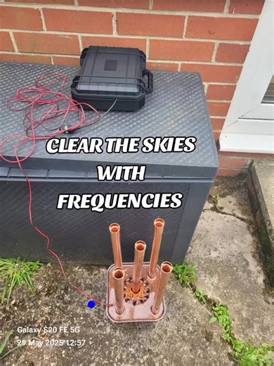 INDEPENDENT MINDs on TikTok