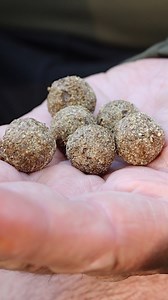 9.3K views · 149 reactions | MASSIVE SPRING EDGE!  The DNA Baits...