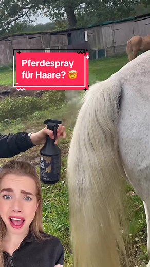 Neuer Rekord mit Pferdespray für Haare!