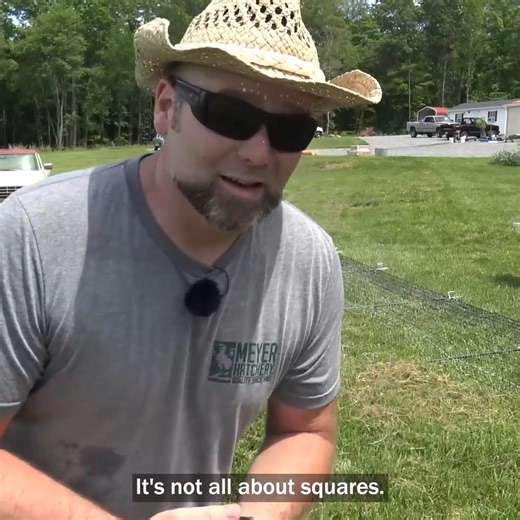 23K views · 306 reactions | Mobile Shock-Or-Not Fence For The Baby Chicks! Keeps Predators OUT! | Stoney Ridge Farmer | Facebook