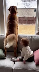 6.6K views · 20 reactions | ENEMY SPOTTED! ️ | RTV City Ub | Facebook