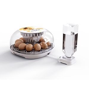 [Hot Item] Wonegg 12 Chicken Bird Eggs Incubator with External Water Adding Device