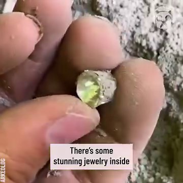 137K views · 304 reactions | Metal detector found a real treasure chest Partner: Arkeolog | Crafty Panda | Facebook