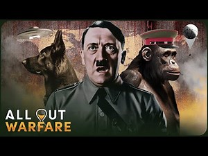 The Wacky Weapons And Odd Experiments Of WW2 | World War Weird | All Out Warfare