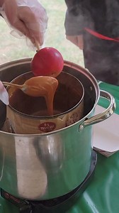 Lake Arrowhead Campground on Reels