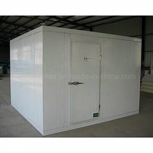 [Hot Item] Custom Made Assembled Cold Store Large Cold Store Room/Cold Room Freezer