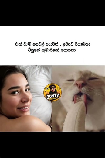 බුකියේ රස කතා අද 😂 | HC Fun Memes 🤣 #sinhala #shorts #memes Episode 2542 #athalmemes #shorts
