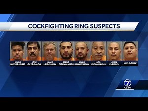 32 arrested in cockfighting ring investigation
