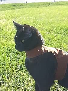 Pet Supplies : Mynwood Cat Jacket/Harness Chocolate Adult : Amazon.com