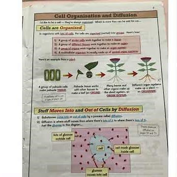 KS3 Science Cells and respiration