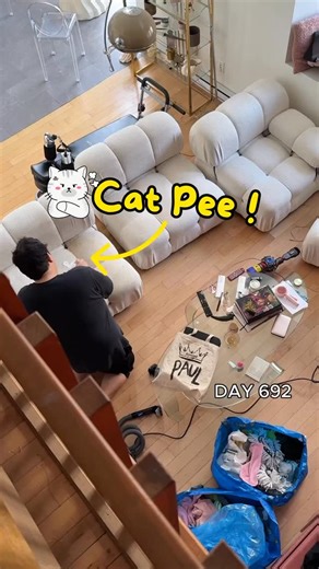 Cleaning Simp Paul on Instagram: "Day 692 of my transformation  ️ The one with the pee stained couch cleaning! (by Paul) 什 #spotclean #deepclean #upholstery"