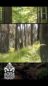 21K views · 727 reactions | This video purportedly shows the moment a...