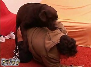 70dc61 Mbs K9 Series Part 4