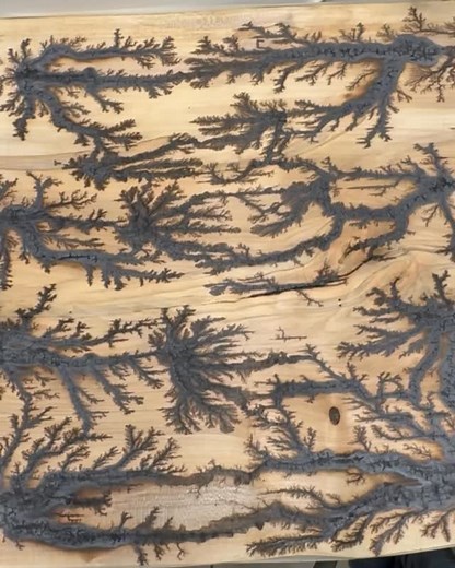 Fill the burn! #maker #makersgonnamake #makersgonnashare #makersmovement #makerssupportingmakers #artisticnaturalelements #woodworker #woodworkers #woodworking #woodworkingcommunity #woodshop #woodshoplife #woodshoptricks #garagewoodshop #garagewoodshopwarrior #shoplife #satisfying #satisfyingvideos #satisfyingvideo #fractalburning #epoxy #epoxyresin #eyecandypigments | Artistic Natural Elements