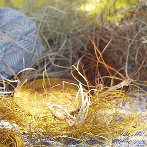 18K views · 555 reactions | SeaLink Northern Territory | Australia.com | Facebook