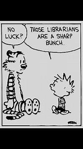 Calvin and Hobbes 🐯👦🏻📚 #calvin #hobbies #CalvinAndHobbes | Carew Ellington