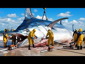 Giant Swordfish Hunt – Extreme Deep Sea Monster Fishing!