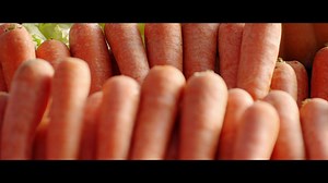 Saksikan London Vegetable Orchestra menciptakan musik dengan sayuran yang telah disimpan dalam lemari es LG Linear Compressor selama 1 minggu. | LG Global