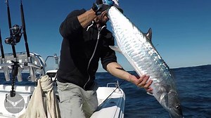 GETTING JIGGY Solo Angler gets his jig for some Spanish. FEEL ALIVE 🎥 by Solo Angler | Daiwa Australia