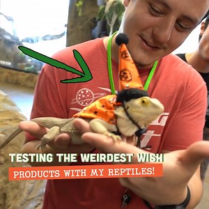 Testing the Weirdest Wish Products with my Reptiles!🦎 | Brian Barczyk