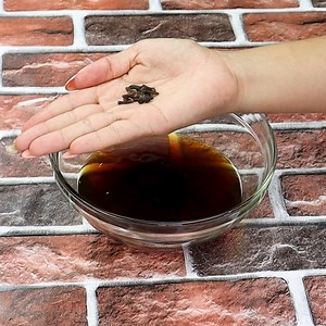 Homemade repellent Keeps bugs away! Goodbye ANTS and FLIES! | Home Recipes