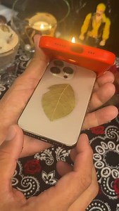 1.1M views · 51K reactions |  Você sabia que uma simples folha de...