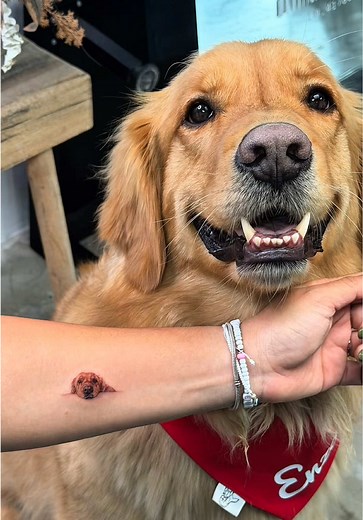Hermoso tattoo de perro hecho por Jorge Diaz Roman