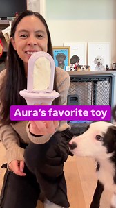 ✨Cozy crate ✨ See comments! #puppytraining #cratetraining #puppymom Diggs | Rachel Fusaro