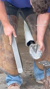 16K views · 151 reactions | Farriers They are skilled professionals...