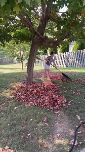 22K views · 606 reactions | You’re never too old to jump in a pile of leaves.  | Kristyslifestyle | Facebook