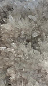 Petal-shaped transparent quartz crystal cluster specimen😍😍 #crystal #specimen | SD Crystal