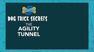 Dog Trick Secrets! Teach your dog to go through a tunnel. Sponsored by Doggijuana. From #DOGHUGS. Watch the whole show each day at Noon Pacific Time at Positively Woof. #dogtricks | Positively Woof