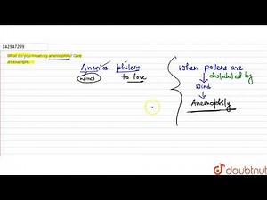 What do you mean by anemophily? Give an example.