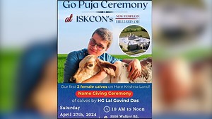 3.3K views · 206 reactions | Gau Puja - Name Giving Ceremony@ISKCON COLUMBUS #usa #ohio #gauseva #cow #care #iskcon #lalgovinddas | Lalgovinddas | Facebook