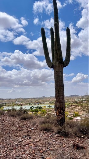 #arizona #fountainhills #az | Bridget Justin