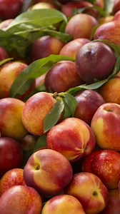  Fresh Fruit Deliveries Are Happening! See you At The Fruit Truck   Delivery Schedules: https://www.myfruittruck.com/delivery-schedule-text-version #thefruittruck #freshfruit #delicious #fresh #farm #fruit #freshness #sweet #deliveries #apples #pears #peaches #nectarines | The Fruit Truck | Facebook