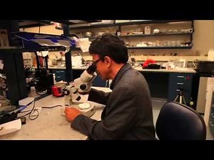 Smart capsule to target colon diseases