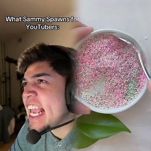 What Sammy Spawns for