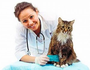 Cum iti deschizi un cabinet medical veterinar
